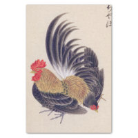 Vintage illustration: Japanese bantam Tissue Paper