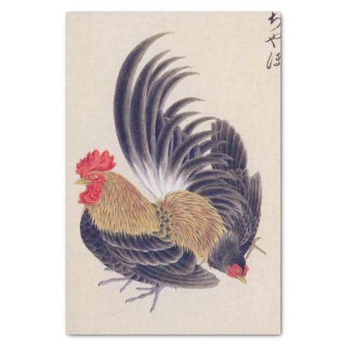 Vintage illustration Japanese bantam Tissue Paper