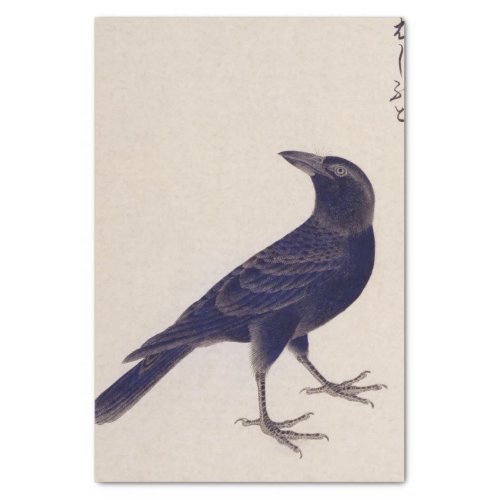 Vintage illustration Jungle crow Tissue Paper