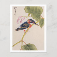 Vintage illustration: Kingfisher Postcard