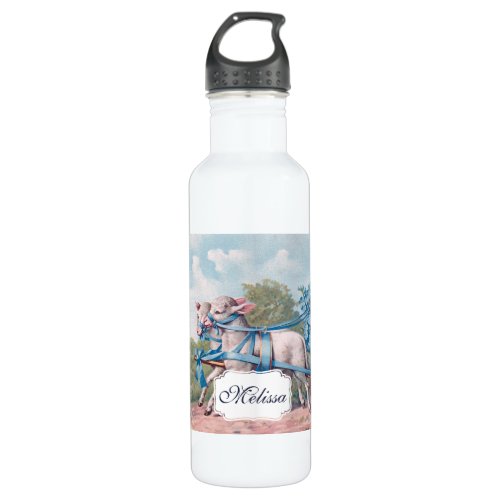Vintage Illustration Lambs in Blue Ribbons Stainless Steel Water Bottle