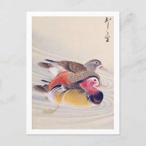 Vintage illustration Mandarin duck Postcard