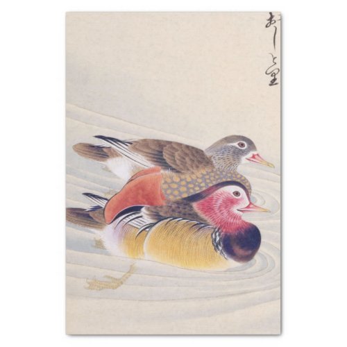 Vintage illustration Mandarin duck Tissue Paper