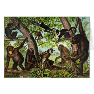 Vintage Illustration - Monkey Jungle, Cards