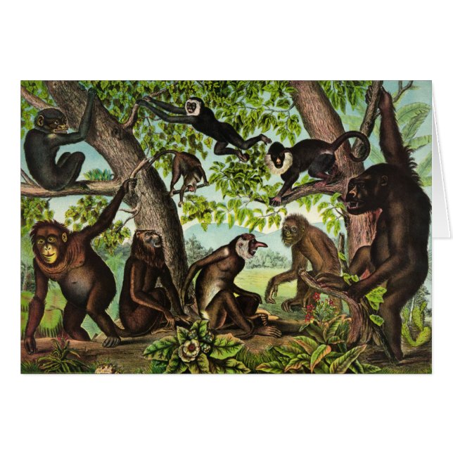 Vintage Illustration - Monkey Jungle, Cards (Front Horizontal)
