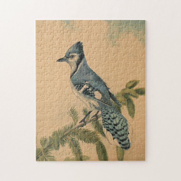 Vintage Illustration of a Blue Jay (1880) Jigsaw Puzzle | Zazzle.com