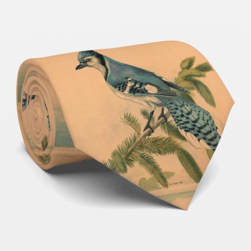 Vintage Illustration of a Blue Jay 1880 Neck Tie