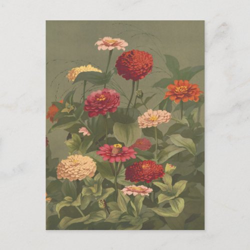 Vintage Illustration of a Bouquet of Flowers Postcard