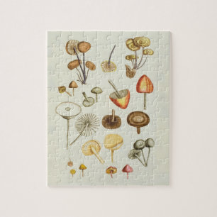 Vintage illustration of a collection of mushrooms jigsaw puzzle