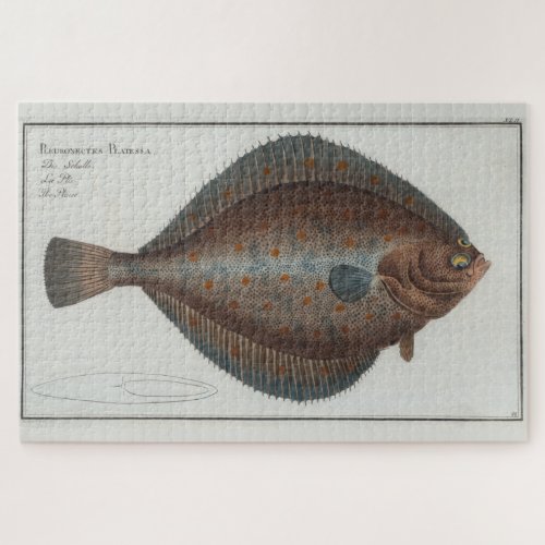 Vintage Illustration of a Flounder Fish 1785 Jigsaw Puzzle