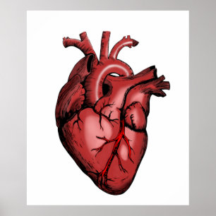Vintage Illustration of a Heart Poster