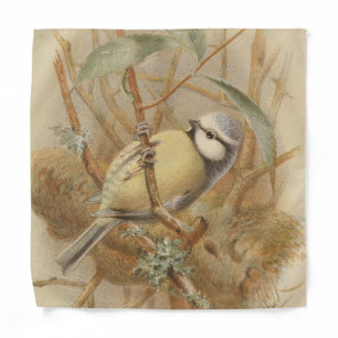 Vintage Illustration of Bluetit Bandana