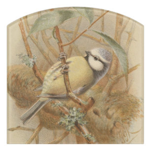 Vintage Illustration of Bluetit Door Sign