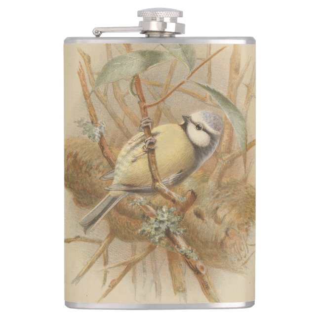 Vintage Illustration of Bluetit Flask (Front)