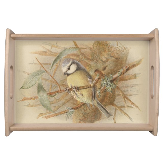 Vintage Illustration of Bluetit Serving Tray (Front)