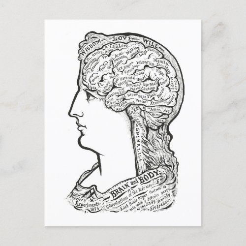 Vintage Illustration of Brain_Body Connection Postcard