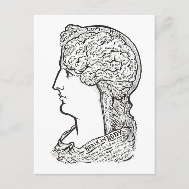 Vintage Illustration of Brain-Body Connection Postcard (Front)
