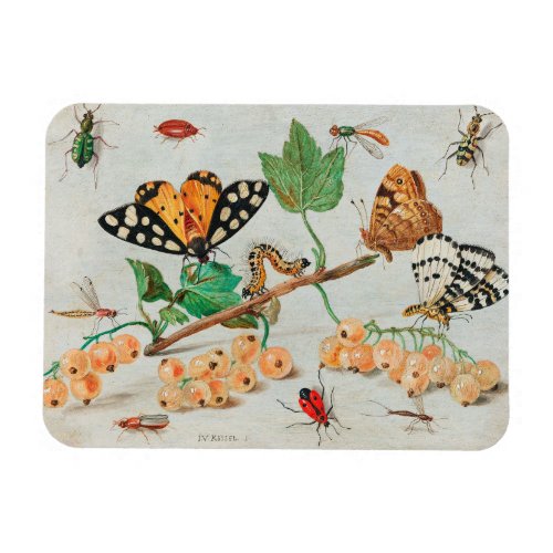 Vintage illustration of butterflies on berries magnet