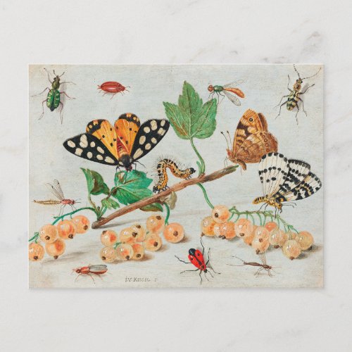 Vintage illustration of butterflies on berries postcard