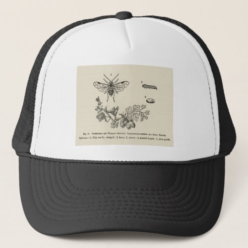 Vintage illustration of caterpillar_infested trucker hat