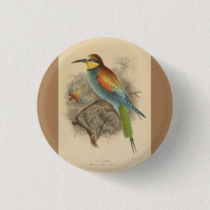 Vintage illustration of European Bee-Eater Button