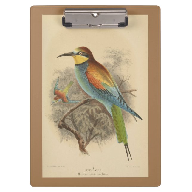 Vintage illustration of European Bee-Eater Clipboard (Front)