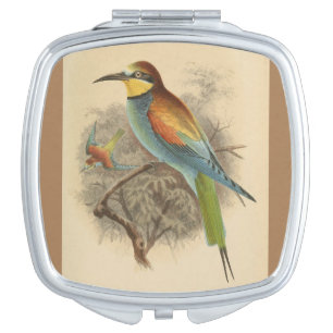 Vintage illustration of European Bee-Eater Compact Mirror