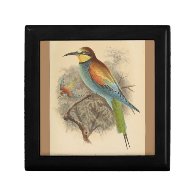 Vintage illustration of European Bee-Eater Gift Box (Front)