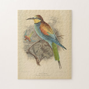 Vintage illustration of European Bee-Eater Jigsaw Puzzle