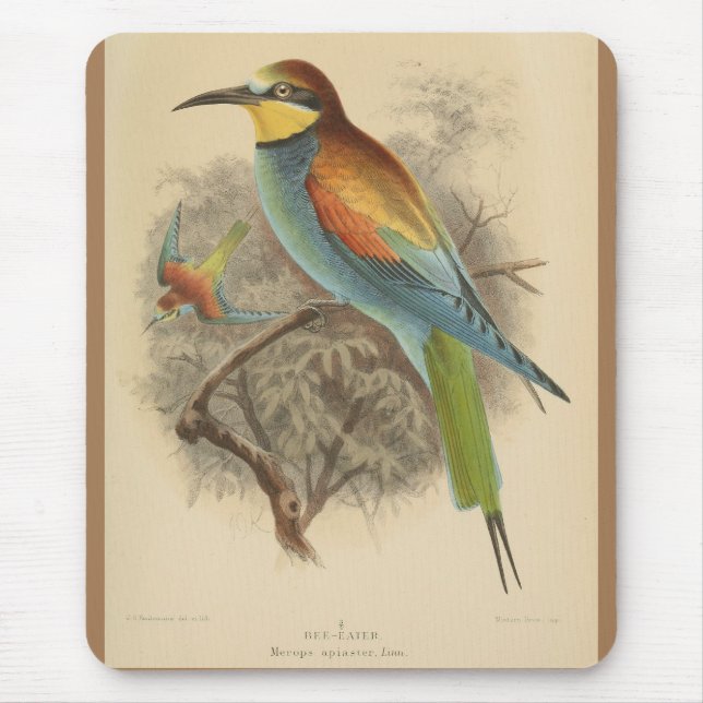 Vintage illustration of European Bee-Eater Mouse Pad (Front)