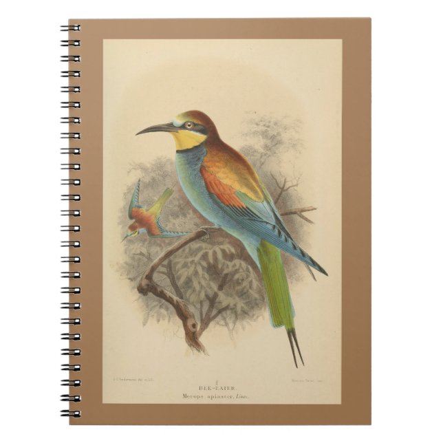 Vintage illustration of European Bee-Eater Notebook (Front)