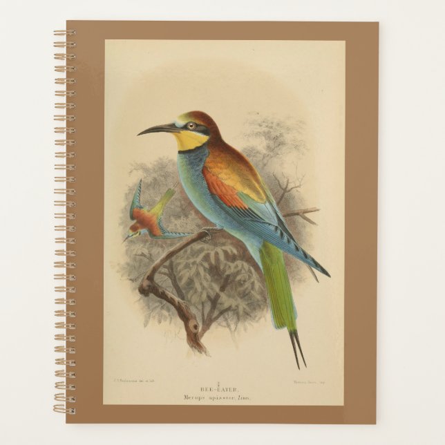 Vintage illustration of European Bee-Eater Planner (Front)