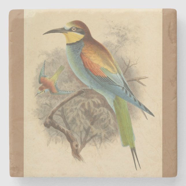 Vintage illustration of European Bee-Eater Stone Coaster (Front)