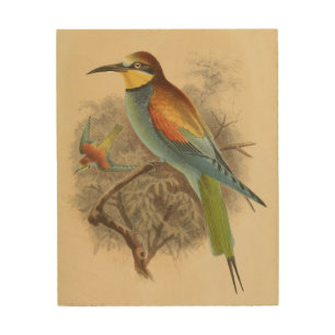 Vintage illustration of European Bee-Eater Wood Wall Art