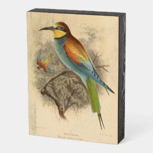 Vintage illustration of European Bee-Eater Wooden Box Sign