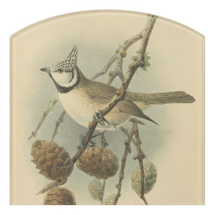 Vintage Illustration of European Crested Tit Door Sign