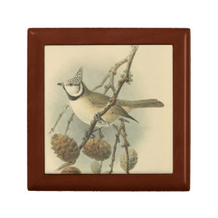Vintage Illustration of European Crested Tit Gift Box