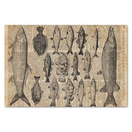Vintage Illustration of Fishes Over Old Book Page Tissue Paper