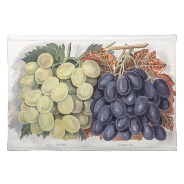 Vintage illustration of grape cloth placemat (Front)