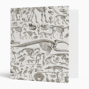 Vintage Illustration of Human & Animal Bones Binder
