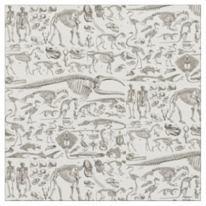 Vintage Illustration of Human & Animal Bones Fabric