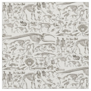 Vintage Illustration of Human & Animal Bones Fabric