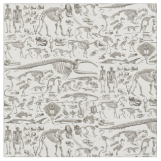 Vintage Illustration of Human & Animal Bones Fabric