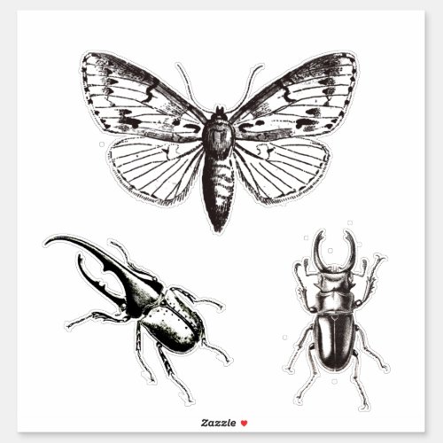 Vintage Illustration of moth bugs _  creepy Sticker