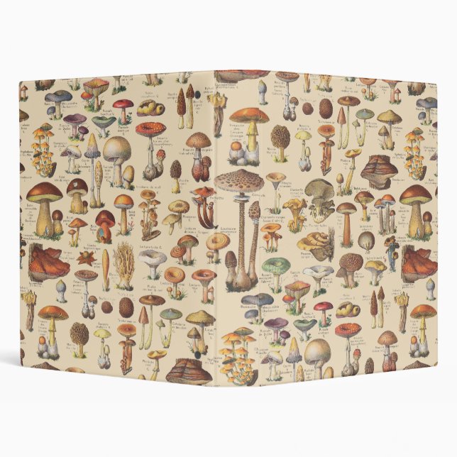 Vintage illustration of mushrooms 3 ring binder (Background)