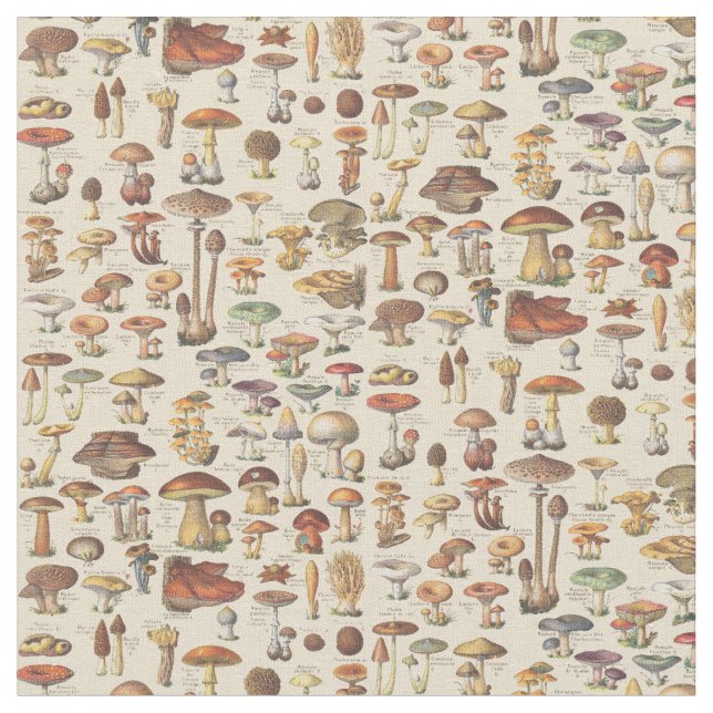 Vintage illustration of mushrooms fabric (Close Up)