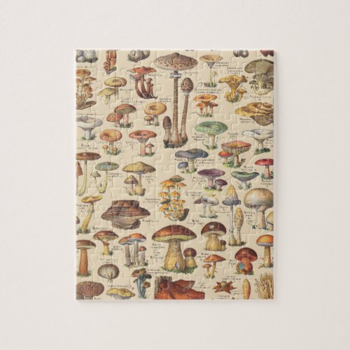 Vintage illustration of mushrooms jigsaw puzzle