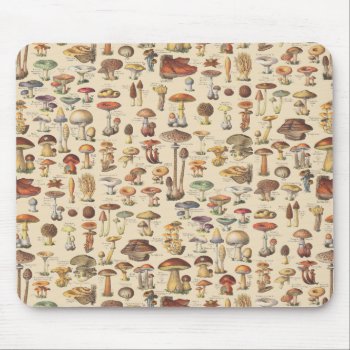 Vintage Illustration Of Mushrooms Mouse Pad by ThinxShop at Zazzle