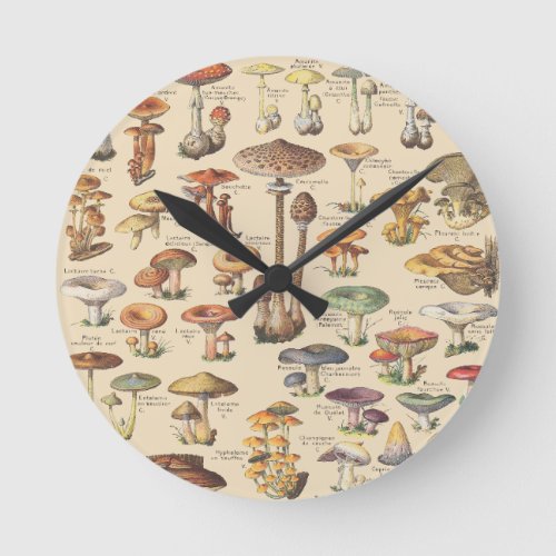 Vintage illustration of mushrooms round clock