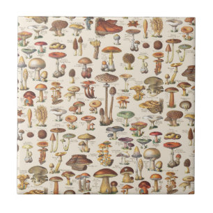 Vintage illustration of mushrooms tile
